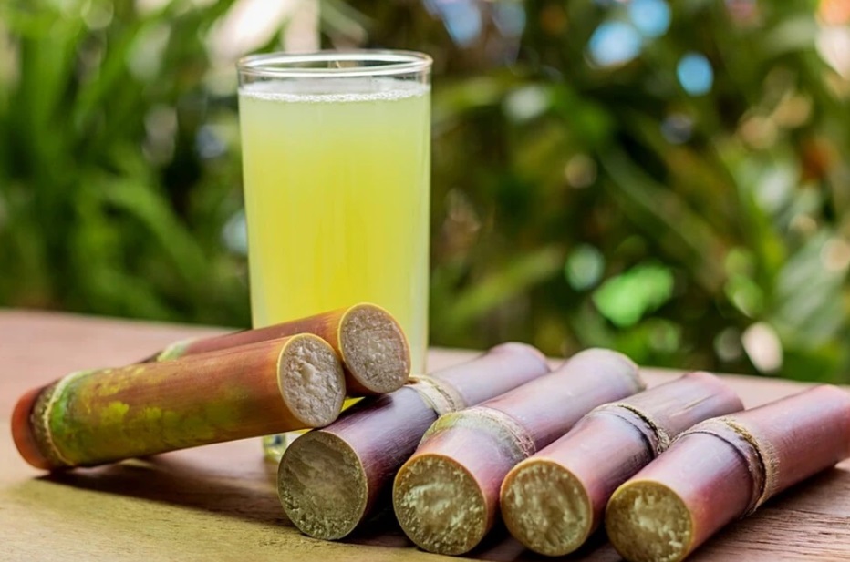 Sugarcane 