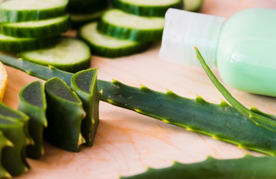 Aloe Vera Business