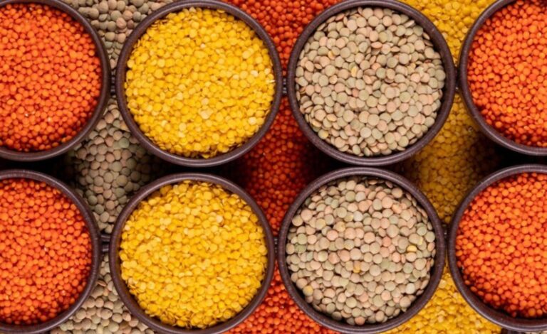 Strategies to start (pulse) Dal business and make it successful (24)