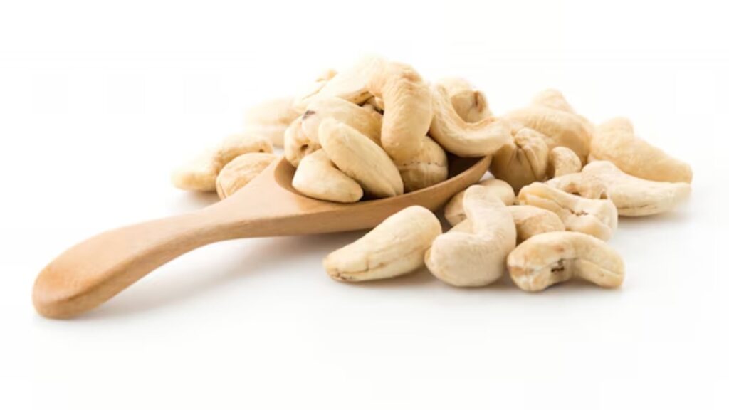 Start a Cashew Business in india