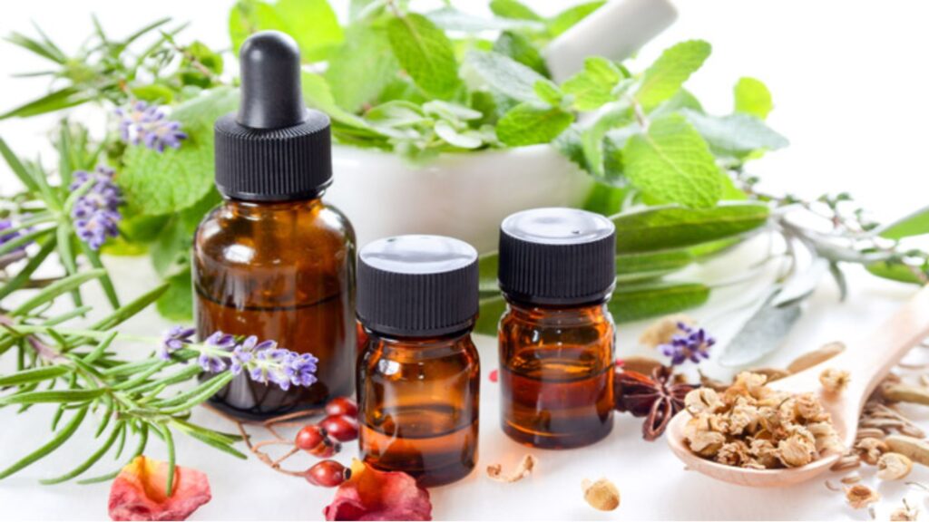 Setting Up a Herbal Products Enterprise with Low Capital
