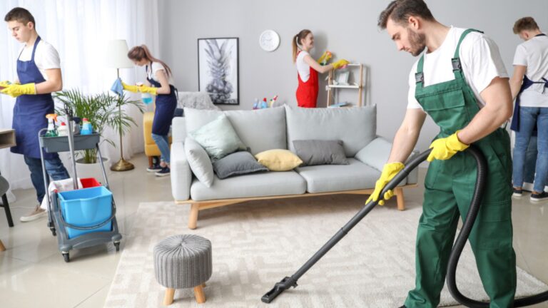 How to start a Cleaning business with low Investment(117)