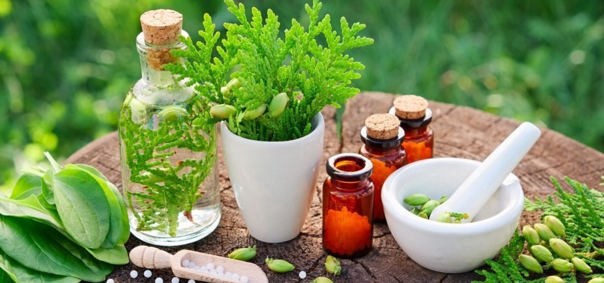 Kickstarting a Herbal Products Business with Small Capital