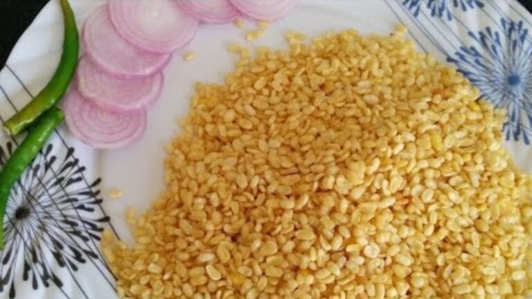 Starting a Moong dal (bhujiya) Business with Minimal Cost (48)