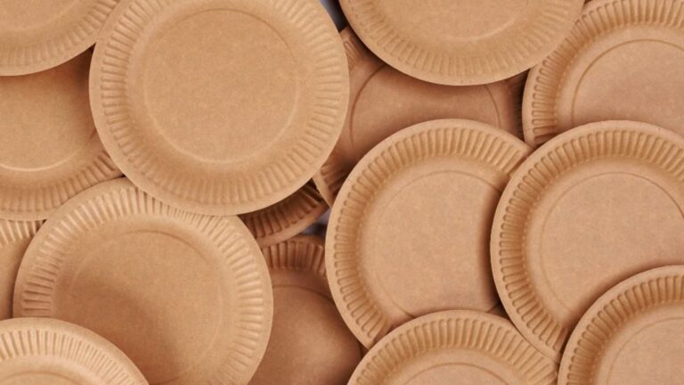 How to Start Paper Plate Business with simple Strategies (67)