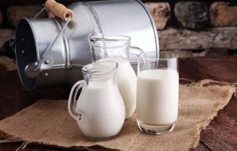 Start Dairy Business from Home: Towards Success at Low Cost (27)