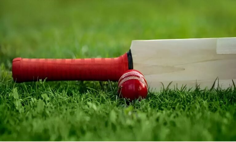 How to Start a Cricket Bat Business from Home with Minimal Investment(32)