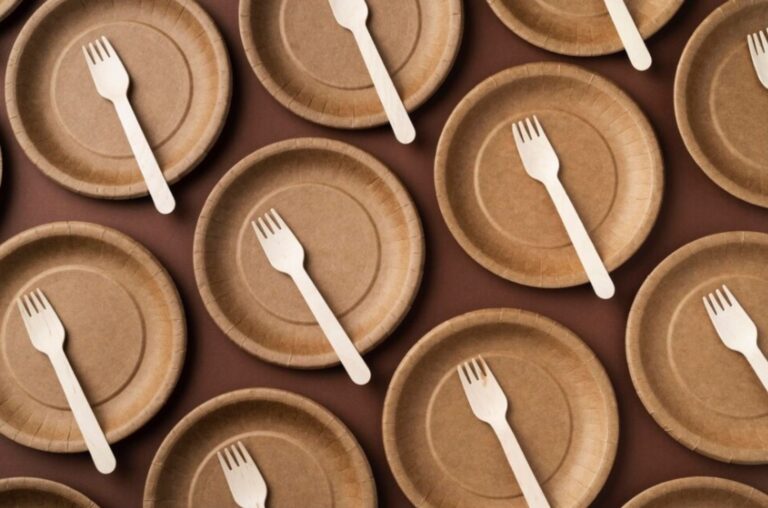 Starting a Disposable Plates Business on a Budget: Path to Success(25)