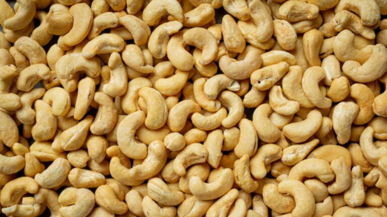 Start a Cashew Business in india with Low Investment (54)