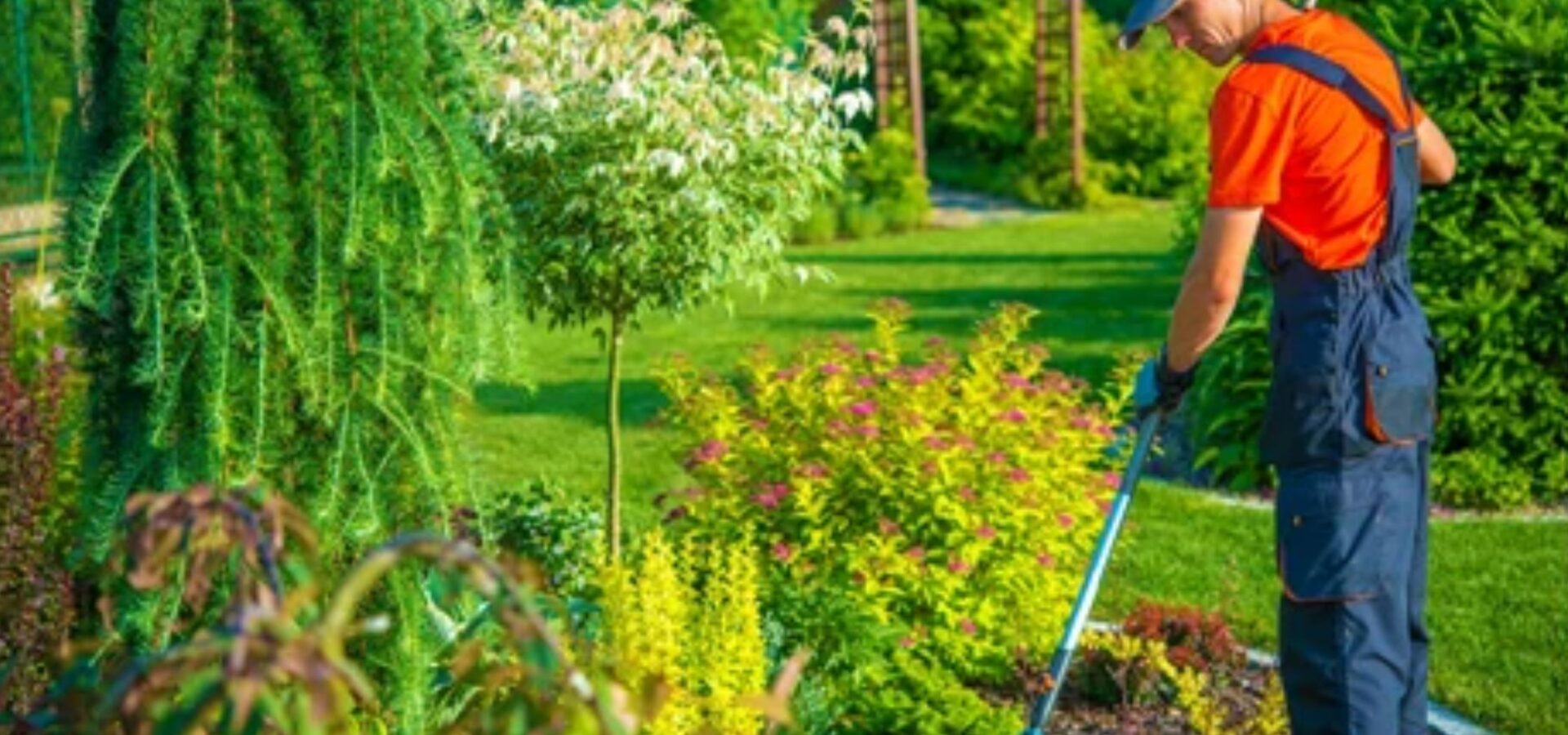 Gardening services