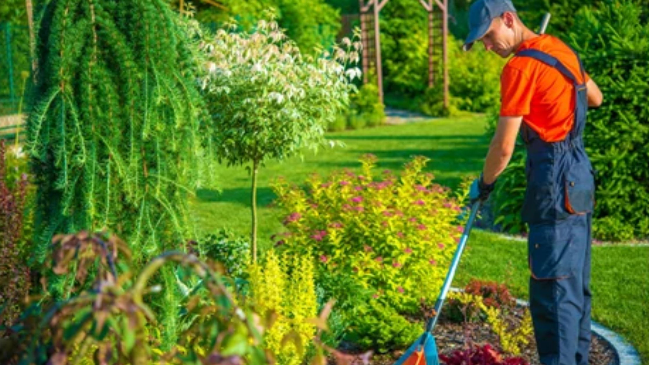 Gardening services