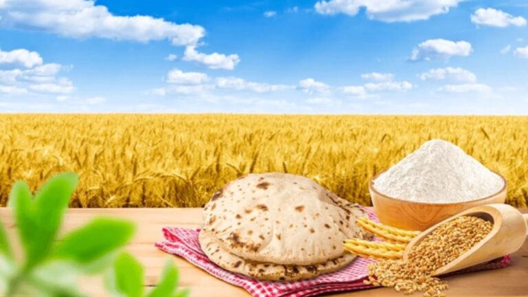 Starting a Profitable Atta (Flour) Business : Tips and Ideas (83)
