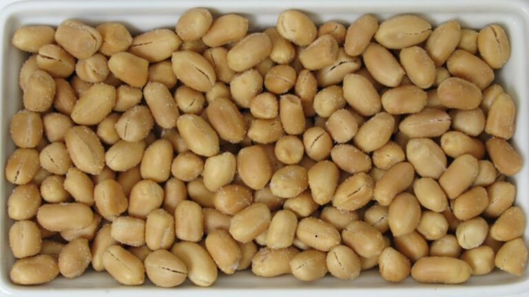 Begin a Salted Peanut Business: A Profitable Venture (128)