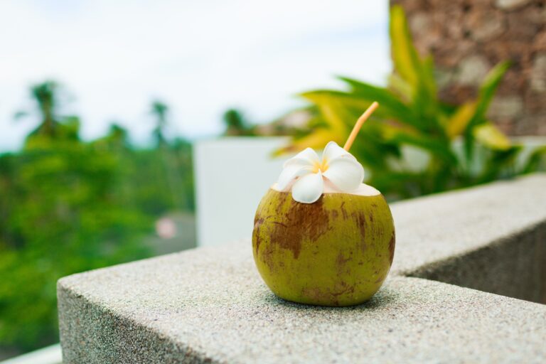 Starting a Coconut Water business with limited investment (38)