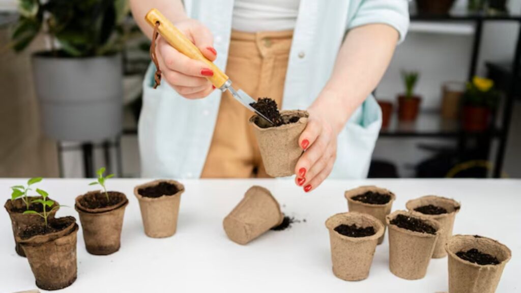 Set Up: Prepare the Space with Containers, Soil, and Seeds