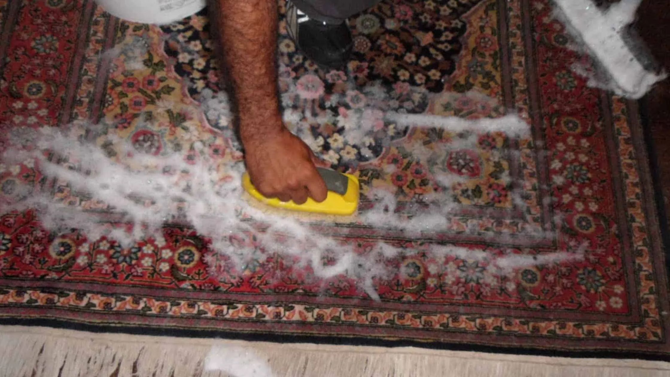 carpet cleaning business