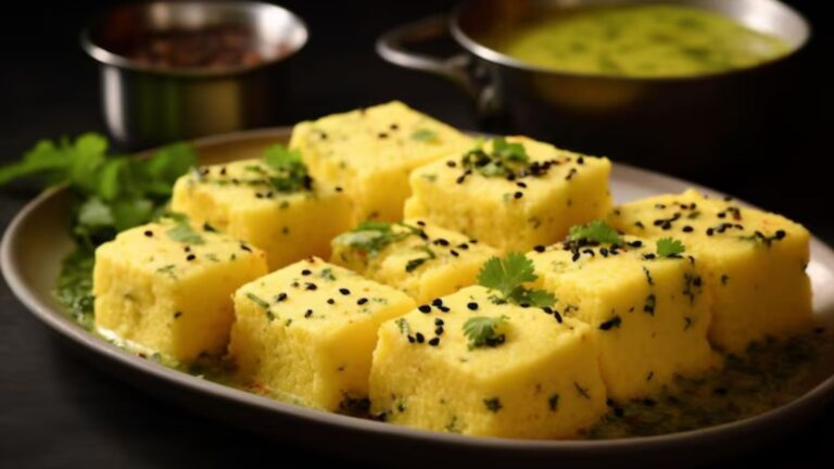 Investment of 25,000 for Sucessful Dhokla business (209)