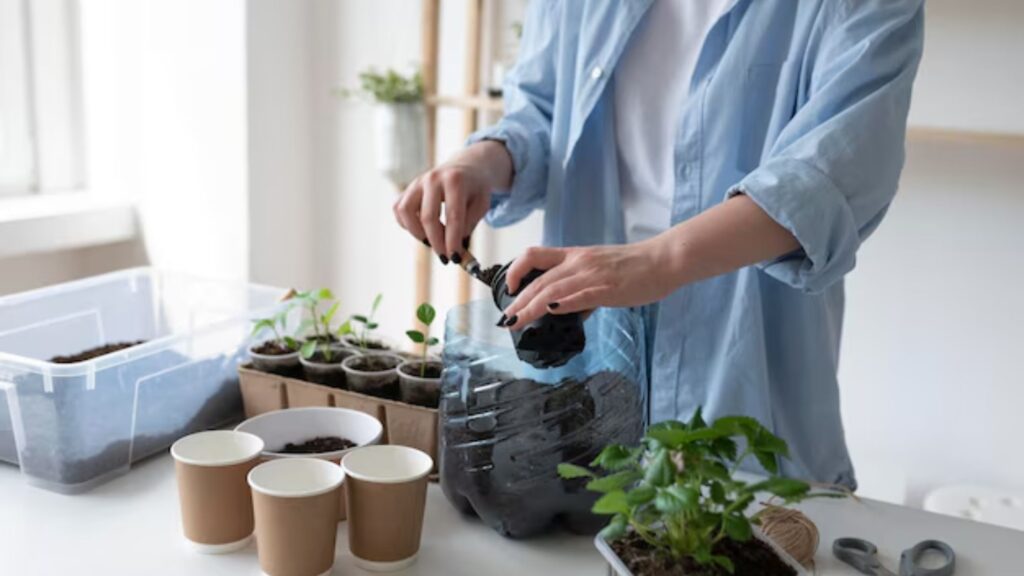 Preparing a suitable growing space or environment