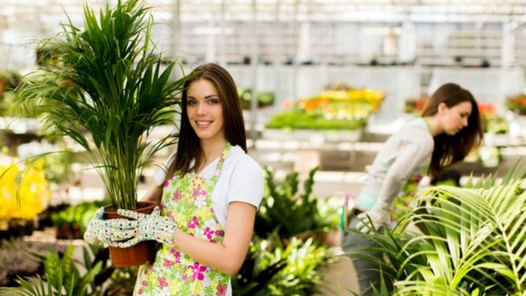 3. Sourcing Plants: Buy Cheap and Quality Plants and Supplies