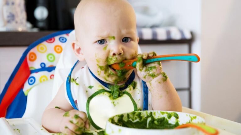 Start Baby Food Business with Effective Steps (229)