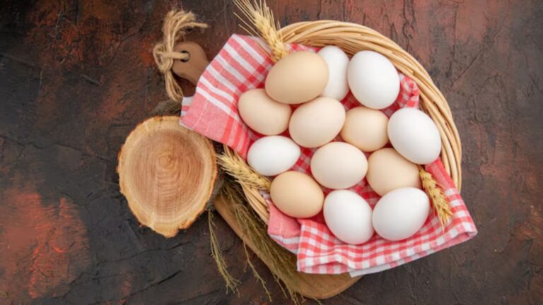 Local Farm Fresh Eggs Business: How to Start with Easy Strategies (284)