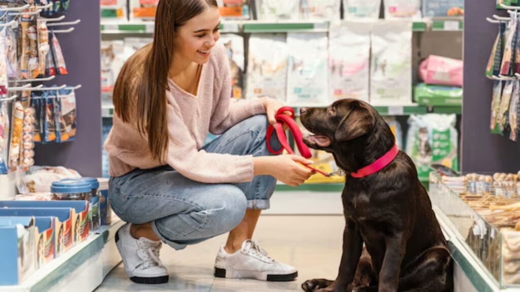 1.Effective Market Research for Pet Accessories Business