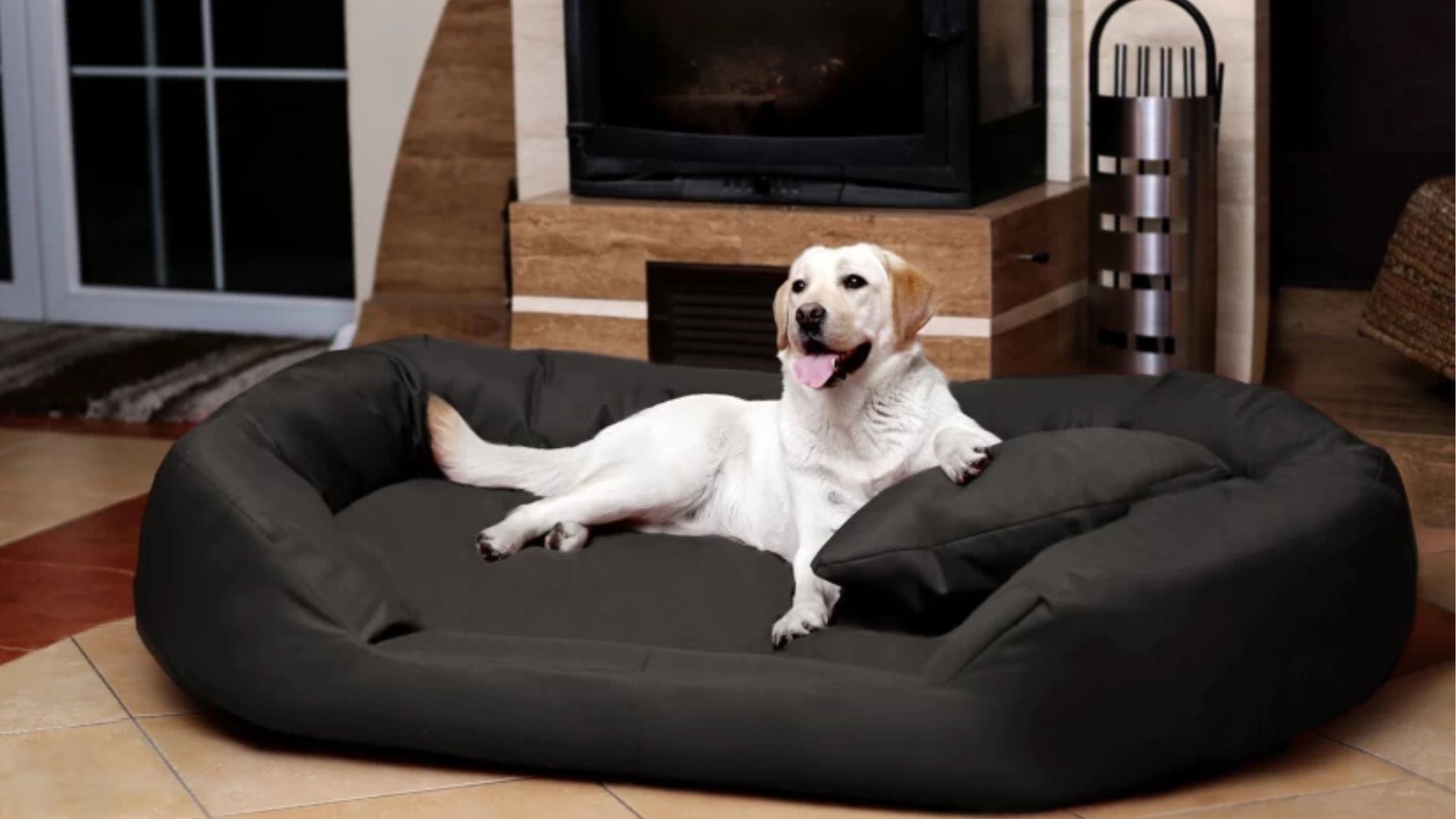 Starting a Profitable Pet Beds Business: A Comprehensive Guide