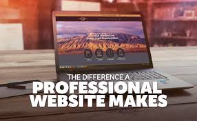 professional website